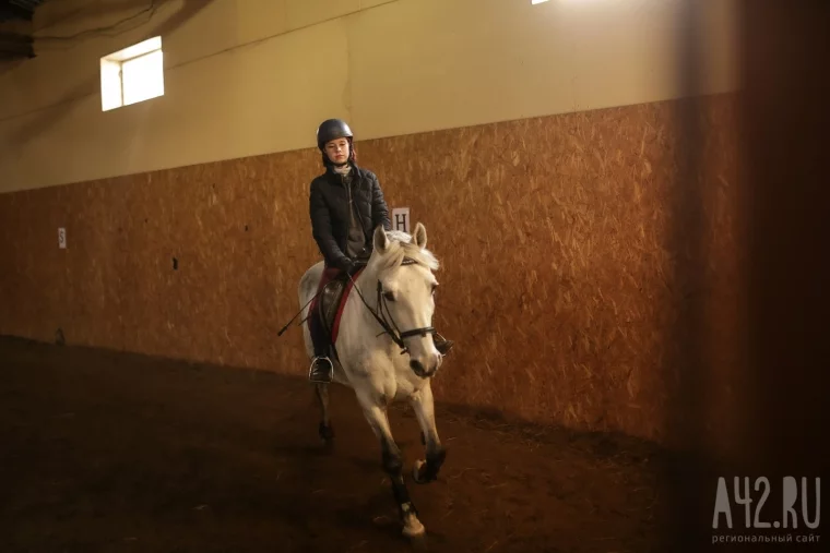 Фото: Лошади, бизнес, дети-инвалиды и коловрат: конно-спортивную школу в Кемерове выгоняют с чужой земли 12