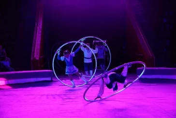 Фото: Настоящая экзотика: в цирке состоялась премьера уникального шоу «Дикая планета» 12