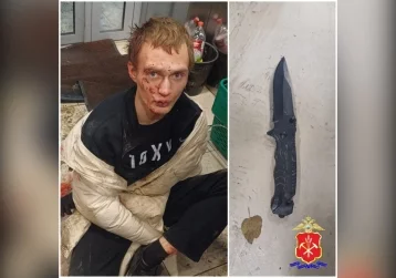 Фото: Устроившего поножовщину в супермаркете Кемерова дебошира арестовали на 7 суток 1