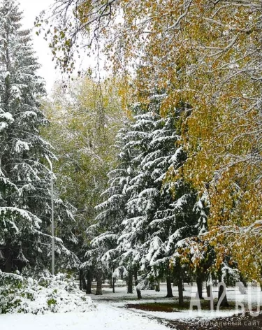 Фото: A42.RU