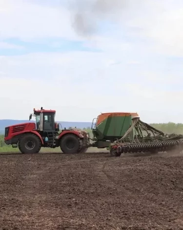 Фото: <a href=https://ako.ru/news/detail/kuzbass-zavershaet-posevnuyu-s-perevypolneniem-plana>АПК</a>