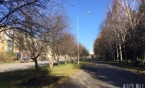 Илья Середюк рассказал, когда отремонтируют дорожки в центральных парках Кемерова