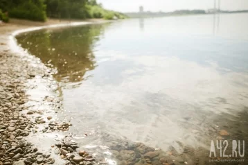 Фото: В Тульской области спасатель не смог спасти тонущего, потому что не умел плавать 1