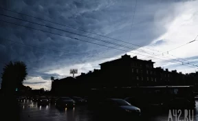 Кузбассовцев предупреждают о грозах и сильных дождях