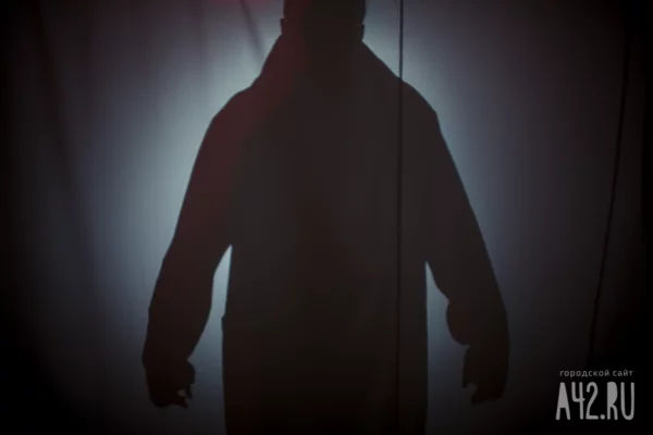 В Нижнем Новгороде хозяйка салона красоты заказала убийство блогера