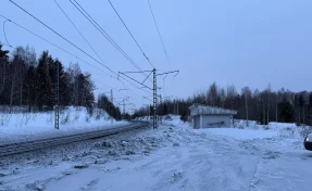 В Красноярском крае грузовой поезд насмерть сбил пешехода