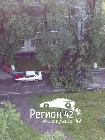 Фото: Кемеровчане делятся в соцсетях снимками последствий ночного урагана 4