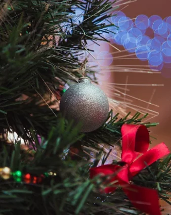 Путин исполнил новогодние желания двух школьников, которые обратились на прямую линию