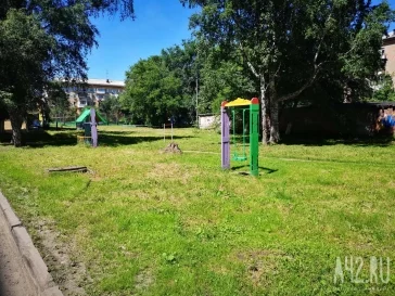 Фото: Зубастые качели: рейд по детским площадкам Кемерова 5