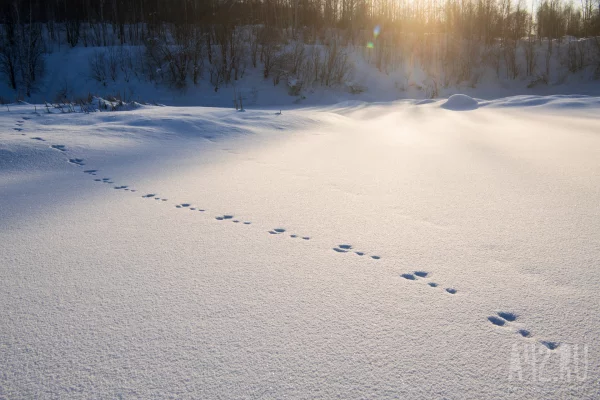 В Перми застрявшему в сугробе мужчине потребовалась помощь спасателей
