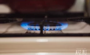 Россиянам пообещали бесплатно провести газ в частные дома