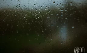 Дожди и грозы: кузбасские синоптики рассказали о погоде на воскресенье