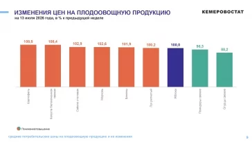 Фото: Кемеровостат: в Кузбассе за неделю огурцы подешевели на 11%, яйца на 4% 1