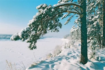 Фото: Зимний отдых на Алтае: лечим почки и отдыхаем всей семьёй 2