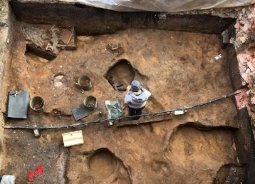 Фото: В Подмосковье археологи обнаружили череп мамонта с древним кладом 1