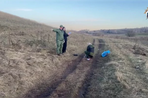 Собаки насмерть загрызли 10-летнего мальчика в Красноярском крае