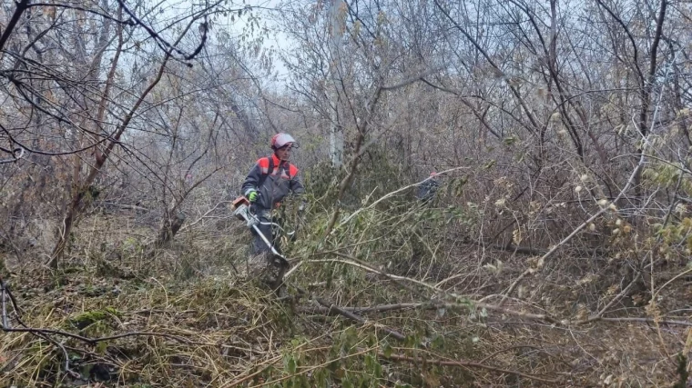 Фото: Энергетики «Россети Сибирь» расчистят более 15 гектаров просек в охранных зонах линий электропередачи в Новокузнецком округе 1