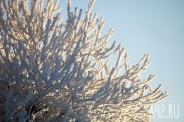 Фото: 45-градусные морозы придут в Кузбасс 1