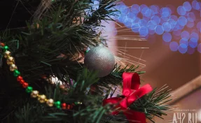 Путин исполнил новогодние желания двух школьников, которые обратились на прямую линию