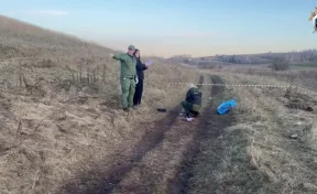 Собаки насмерть загрызли 10-летнего мальчика в Красноярском крае