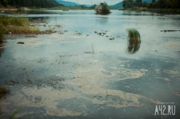 Фото: Водолазы нашли в реке тело пропавшего кузбассовца 1