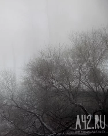 Осенние Кузьминки: народные приметы на 14 ноября