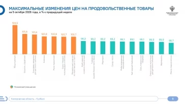 Инфографика: Кемеровостат