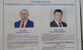 Итоги выборов губернатора Приморского края отменены