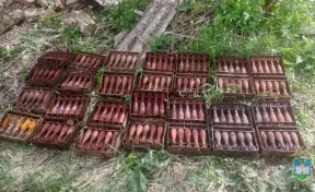 В погребе умершего россиянина нашли 140 миномётных мин 