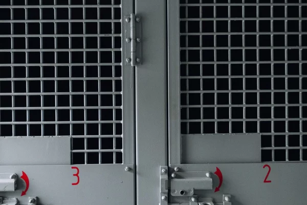 В Дагестане отправили в СИЗО подозреваемых в подготовке покушения на полицейских