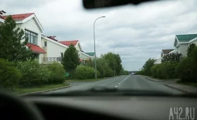В Кемерове три зайца гуляли по пустой дороге: их сняли на видео