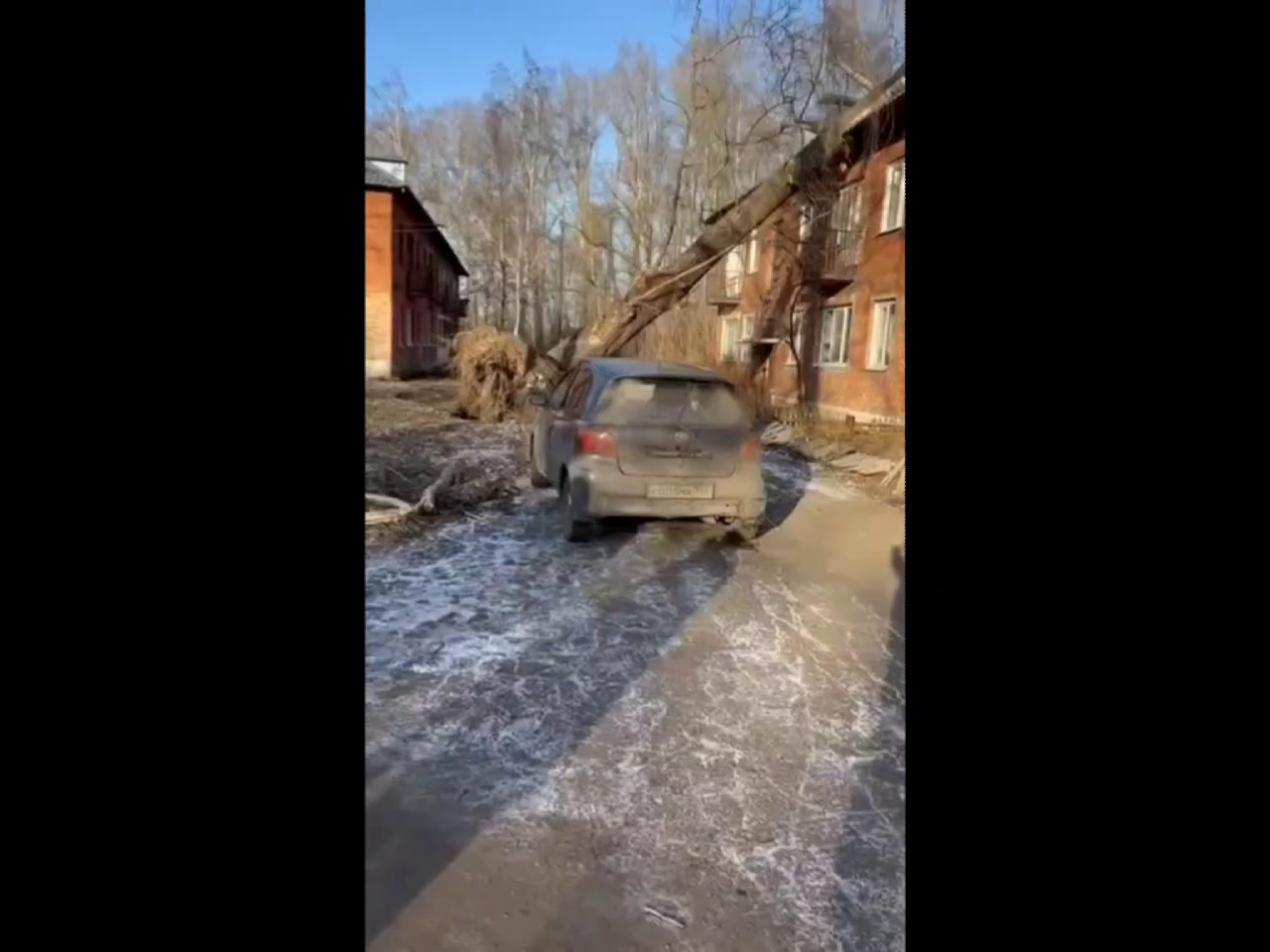 Мэр Новокузнецка снял на видео гигантский тополь, рухнувший на дом