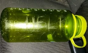 Туристам удалось спасти семью благодаря посланию в бутылке