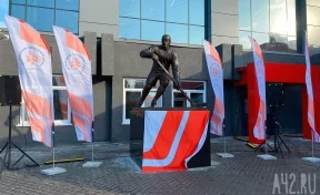 В Новокузнецке фанаты хоккея выстроились в гигантскую очередь за билетами на матч «Металлурга»