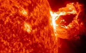Новый апокалипсис: учёные предсказали гибель Солнца из-за аномальных вспышек