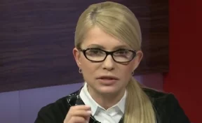 Юлию Тимошенко заподозрили в сокрытии доходов
