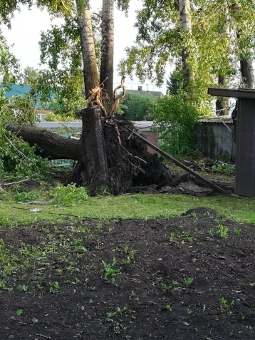 Фото: Кемеровчане делятся в соцсетях снимками последствий ночного урагана 5