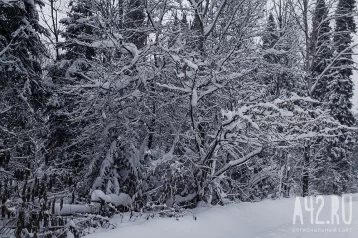Фото: Хранитель младенцев: определяем погоду по приметам 16 февраля 1