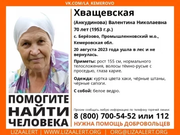 Фото: Пожилая женщина с ведром ушла в лес и пропала в Кузбассе 1