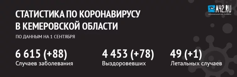 Фото: Коронавирус в Кемеровской области: актуальная информация на 1 сентября 2020 года 1