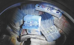 Полиция задержала голландца, хранившего 350 000 евро в стиральной машине