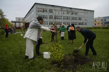 Фото: Выпускники кемеровских школ посадили «Сад памяти» 2