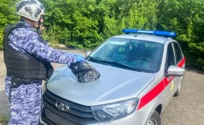 В Кузбассе задержали дебошира с пакетом похищенной одежды