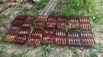 Фото: В погребе умершего россиянина нашли 140 миномётных мин  1