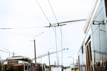 Фото: Водитель залезла на крышу троллейбуса с огнетушителем в Ленинске-Кузнецком  1