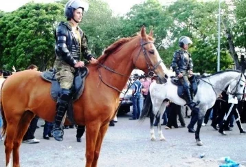 Фото: Столичная полиция купит орловских скакунов на два миллиона рублей 1