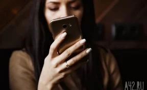 Сенатор назвал условие для блокировки WhatsApp в 2025 году