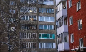 «Был ужасный визг»: новокузнечане сообщили о выброшенной из окна многоэтажки собаке