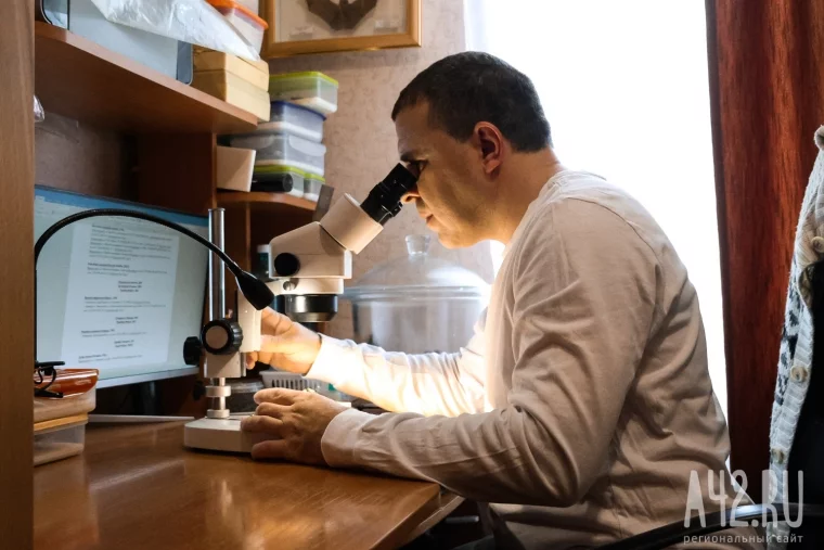 Фото: Полгода жил батраком в Таиланде, ловил бабочек в Перу, спасался от гигантских пиявок во Вьетнаме: как кемеровский энтомолог собрал 250 тысяч насекомых 34