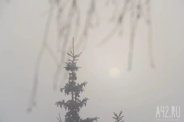 В Кузбассе 7 января ожидается шквалистый ветер, сильный снег и метели